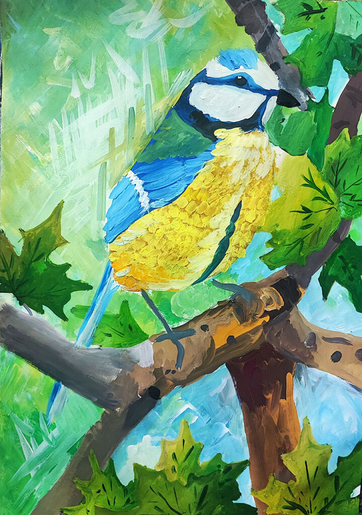 Titmouse | Alisa Panchenko